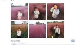 淄博网红爆料最新消息视频,揭秘城市热点事件背后的真相