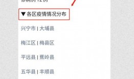 梅州最新爆料消息疫情,揭秘病毒传播轨迹与防控措施”