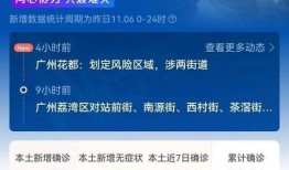 爆料新闻广州最新消息新增,新增病例详情及防控措施全解析